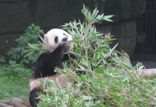Un viaje a China como no hay otro... no se lo pierda!